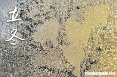 2023立冬是农历哪一天 2023年立冬弄动土可以吗