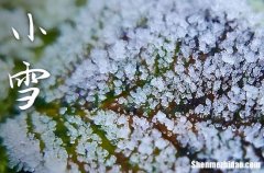 2023年小雪是什么时候 2023年小雪弄安床好不好