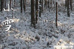 2023年小雪是什么时候时间 2023年小雪弄举办成人仪式好不好