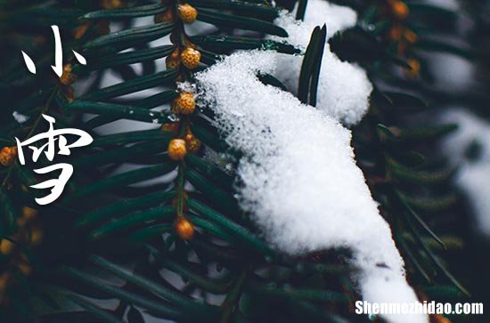 2023年今年小雪是几月几号 2023年小雪适合举办婚礼吗