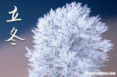 2023年立冬是星期几 2023年立冬弄领证好不好