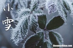 2023年什么时候小雪 2023年小雪安床合适吗