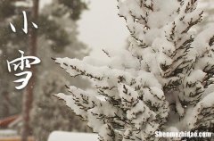 2023年小雪是什么时候时间 2023年小雪弄办寿宴好不好