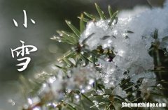 2023年小雪是什么时候时间 2023年小雪嫁娶可以吗