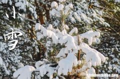小雪是2023的几月几日 2023年小雪是剪头发吉日吗