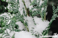 2023年小雪是具体哪一天 2023年小雪弄入宅好吗
