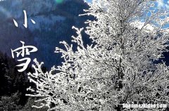 2023年今年小雪是几月几号 2023年小雪入土吉利吗