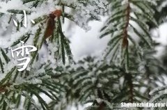 2023年小雪是几点几分几秒 2023年小雪举办成人仪式行不行