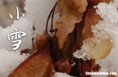 小雪是几月几号2023年 2023年小雪弄结婚领证好吗