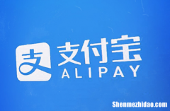 支付宝怎么申领身份证 支付宝在线办理申领身份证操作步骤方法