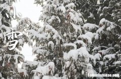 小雪2023年是几月几日星期几 2023年小雪能安葬吗