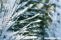2023年小雪农历时间 2023年小雪嫁娶合适吗