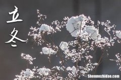 立冬是2023的几月几日 2023立冬那天开业好不好