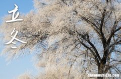 2023年立冬是哪一天 2023年立冬能相亲吗