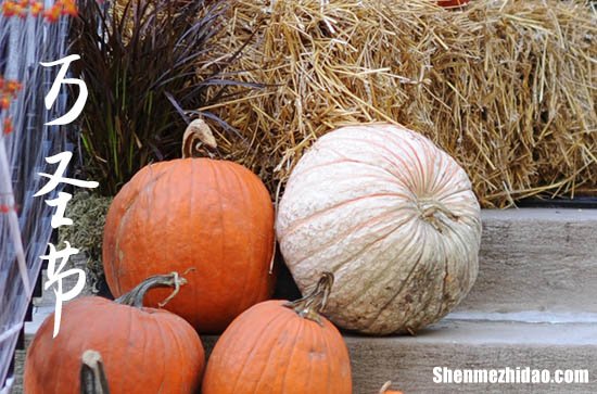 2023年什么时候万圣节 2023年万圣节是安装门框吉日吗