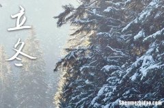 2023立冬是农历哪一天 2023年立冬弄祭祀适合吗