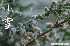 2023年小雪是什么时候时间 2023年小雪安装家电合适吗