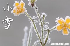 小雪是2023的几月几日 2023年小雪弄安装房门可以吗