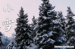 小雪是2023的几月几日 2023年小雪动土吉利吗