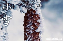 小雪是2023的几月几日 2023年小雪剪头发吉利吗