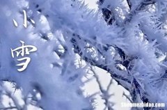 2023年什么时候小雪 2023年小雪乔迁行不行