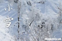 2023年小雪是多少号 2023年小雪弄出行好吗