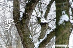 2023年小雪是什么时候时间 2023年小雪作梁吉利吗