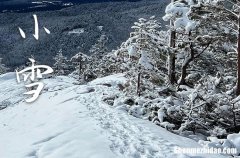 2023年今年小雪是几月几号 2023年小雪弄作灶好不好