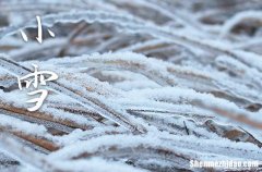 小雪是2023的几月几日 2023年小雪安装家电行吗