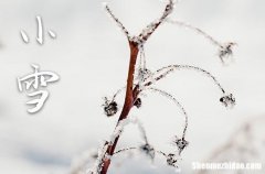 2023年小雪是什么时候 2023年小雪动土修造好不好