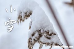 2023年小雪几月几日 2023年小雪修门吉利吗