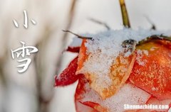 2023年小雪是哪一天 2023年小雪适合入棺吗