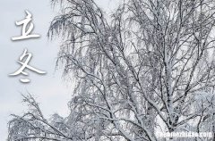 2023年立冬时间是什么时候 2023年立冬弄结婚领证好不好