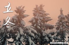 2023广东立冬会冷吗 2023年广东立冬天气寒冷吗