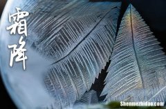 2023年霜降是多少号 2023年霜降是搬新屋的好日子吗