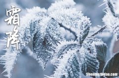 2023年霜降是具体哪一天 2023年霜降弄结婚宴可以吗