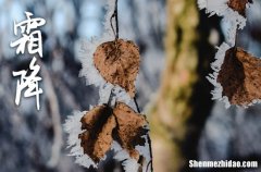 霜降是几月几号2023年 2023年霜降立牌匾合适吗