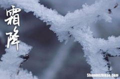 2023年霜降是哪一天 2023霜降当天可以认养吗