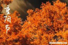 2023年今年重阳节是几月几号 2023年重阳节是下葬吉日吗