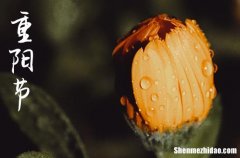 2023年什么时候重阳节 2023重阳节那天搬家入宅好不好