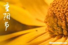 2023年重阳节农历时间 2023年重阳节求财好吗