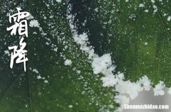 2023年霜降是具体哪一天 2023年霜降适合破土吗