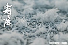 2023年霜降是哪一天 2023年霜降立碑行不行