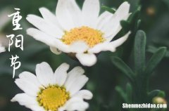 2023重阳节是几月几号 2023年重阳节是装修厨房的黄道吉日吗