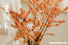 2023重阳节是几月几号 2023年重阳节是认养的黄道吉日吗