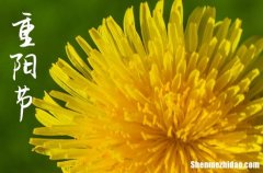 2023年重阳节农历时间 2023年重阳节适合议婚吗