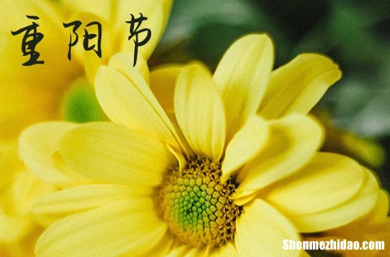 2023年重阳节是多少号 2023年重阳节送葬可以吗
