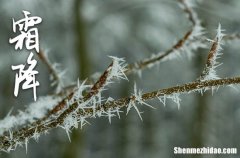 2023年霜降是多少号 2023年霜降扫墓可以吗